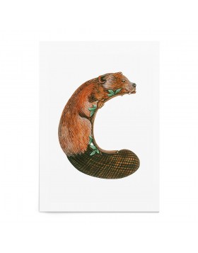Poster Litere Animal Alphabet C