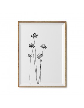 Art Print Dandelions