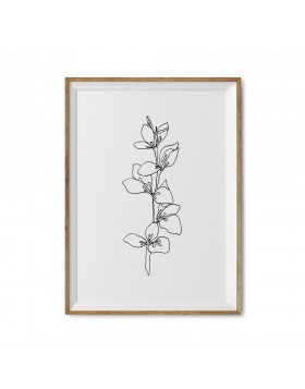 Art Print Delicate Leaf - White